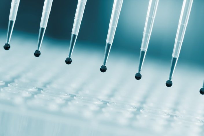 genotyping_1134374741