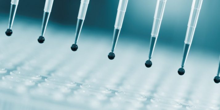 genotyping_1134374741