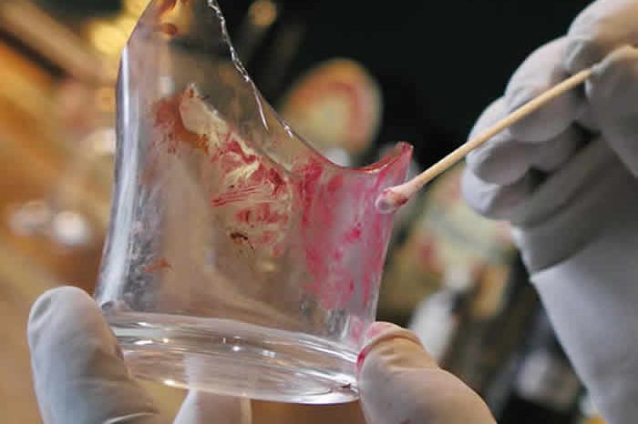 bsc-forensic-science-teaser