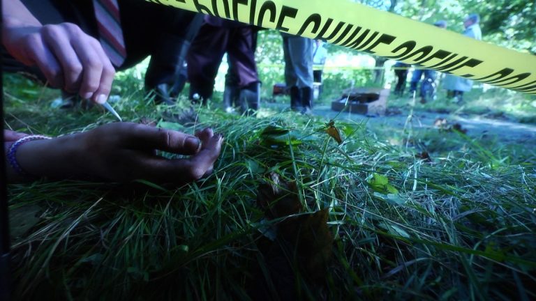 forensic-superJumbo