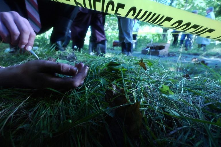 forensic-superJumbo