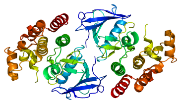 Estudios geneticos en Hermosillo Mexico Proteinas