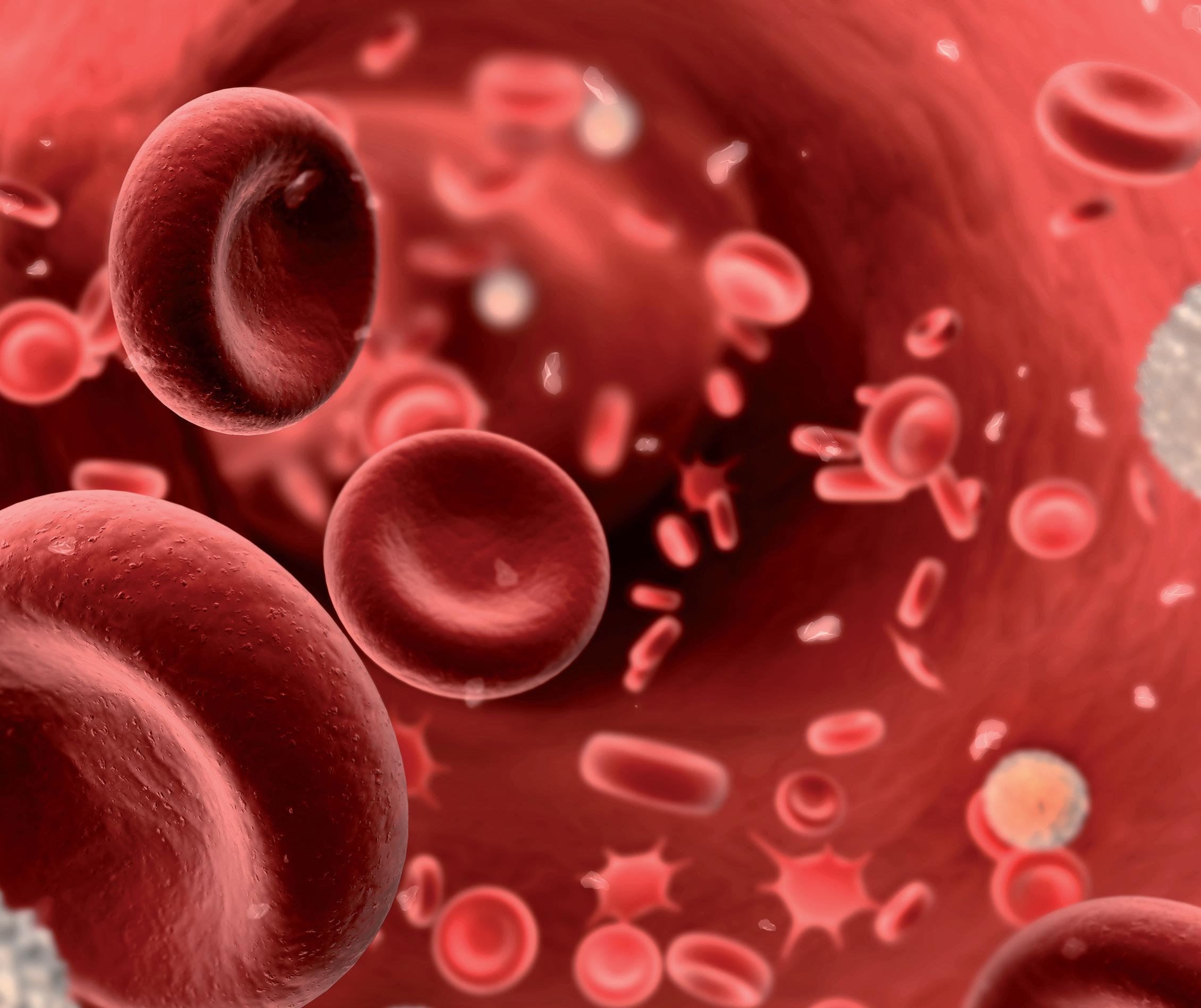 Анемия 2024. Клетки крови. Кровь биология. Тромбоциты.