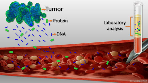 genolife