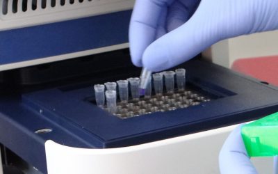 Genolife Laboratorio de estudios genéticos en Hermosillo Mexico pruebas de ADN (6)