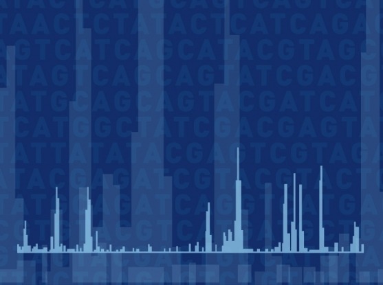 high-res-genome-wide