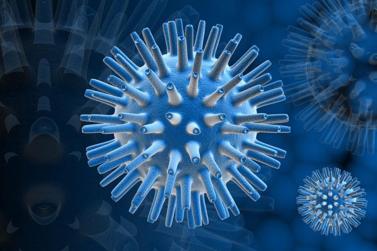 herpes virus