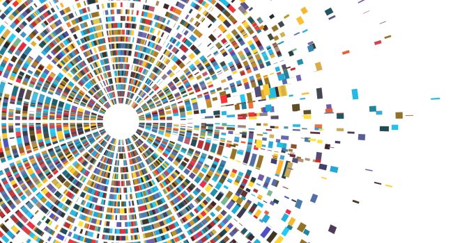 Dna test infographic. Genome sequence map, chromosome architecture and genetic sequencing chart abstract data. Molecule structure genetic test. Genealogy sequence vector illustration