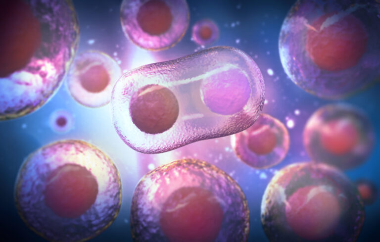 microscope of human stem cells, 3d rendering.