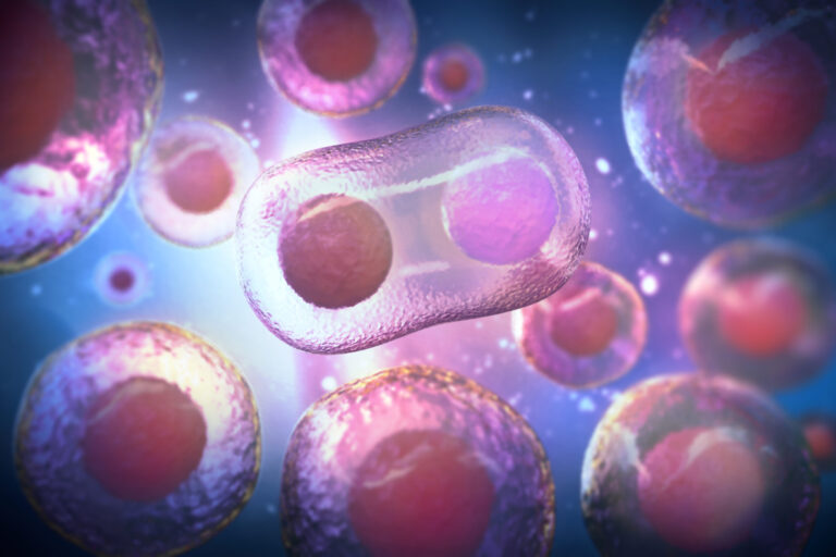microscope of human stem cells, 3d rendering.