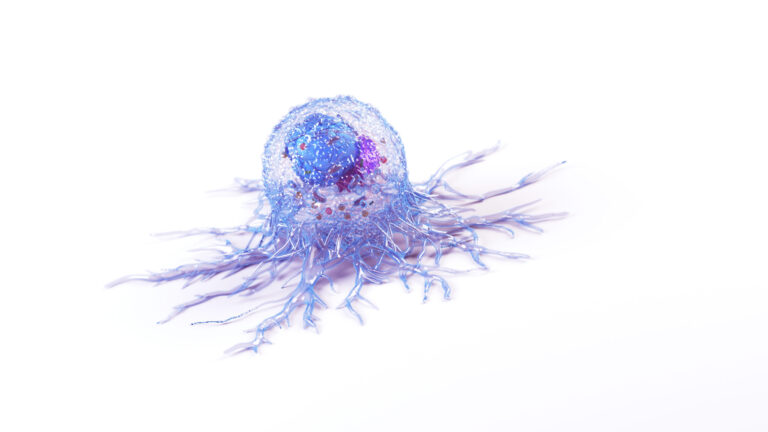 3d rendered illustration of the anatomy of a cancer cell