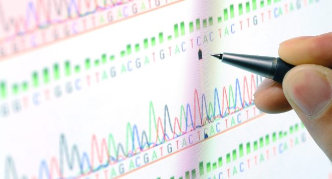 Analisis geneticos personalizados servicios geneticos customizados. customized genetic studies