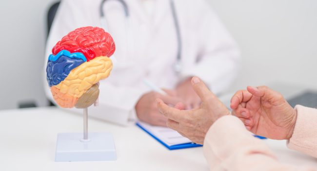 Elderly Patient consulting Doctor to Brain disease, Senior Health Medical Diagnosis. Anatomy Brain model for Explanation, Brain Tumor, neurological disorders, Dementia, alzheimer, parkinson and Mental Elderly Patient consulting Doctor to Brain disease, Senior Health Medical Diagnosis. Anatomy Brain model for Explanation, Brain Tumor, neurological disorders, Dementia, alzheimer, parkinson and Mental